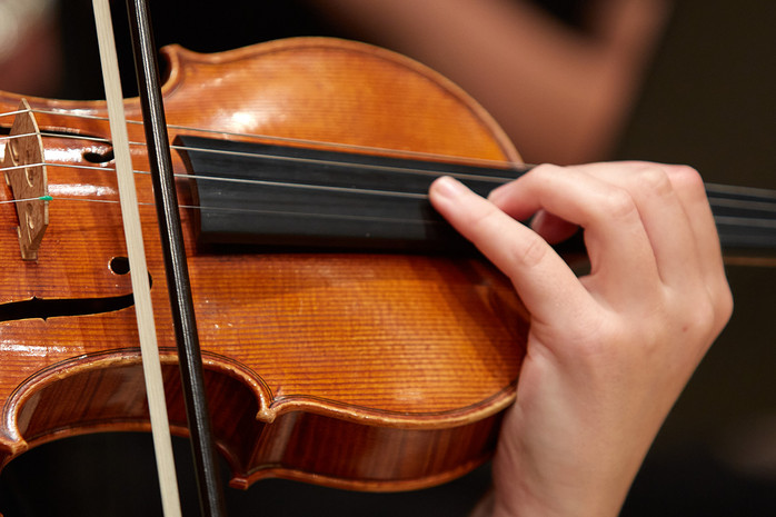 violin