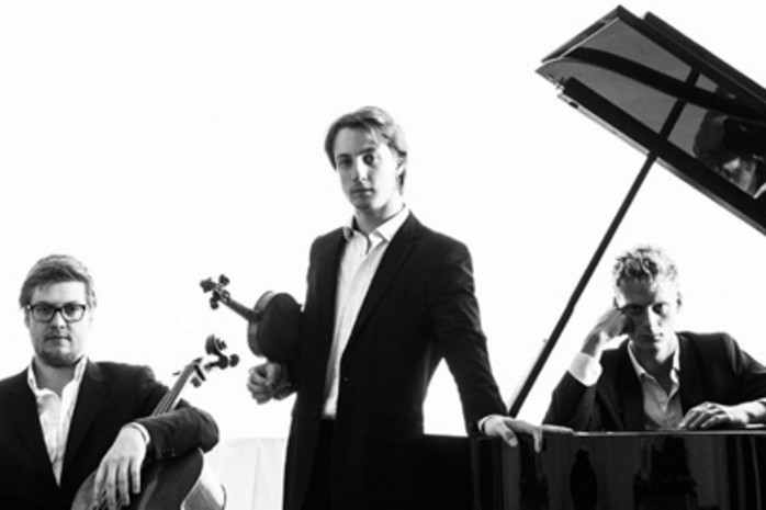 Trio Vitruvi