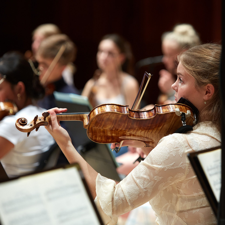 violiner