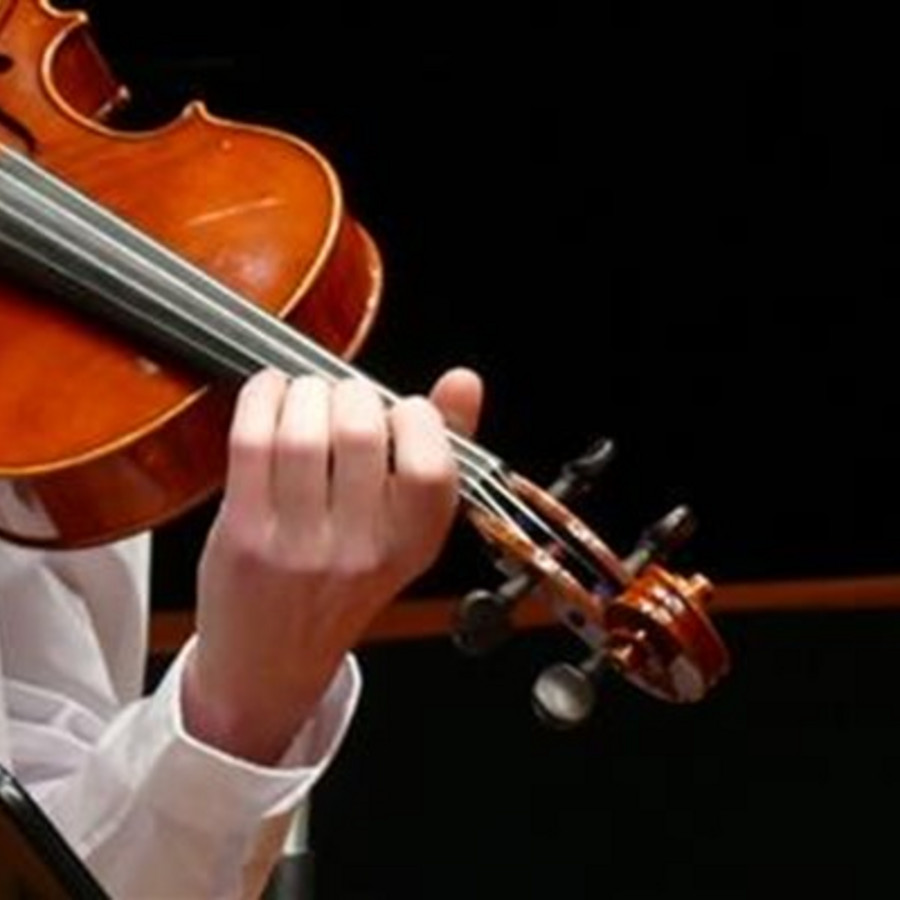 Picture of viola