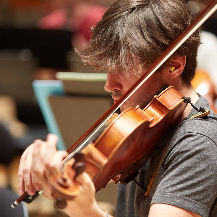 viola