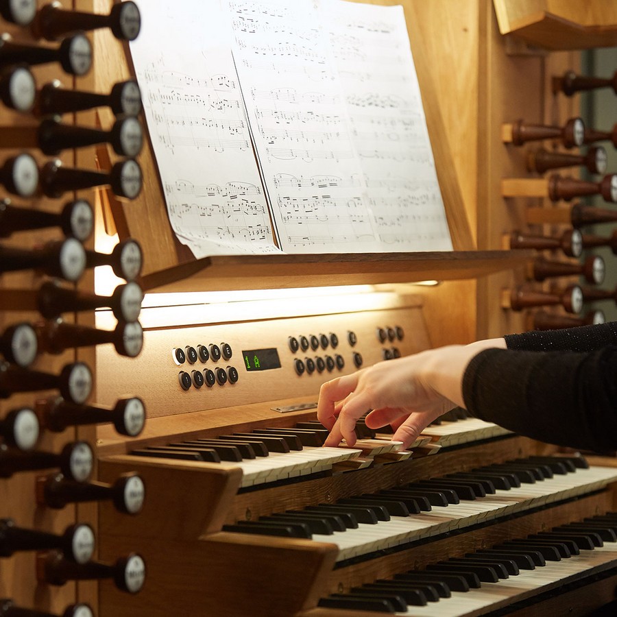 organ