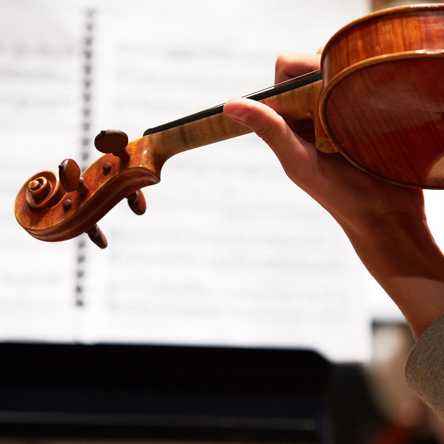 Violin