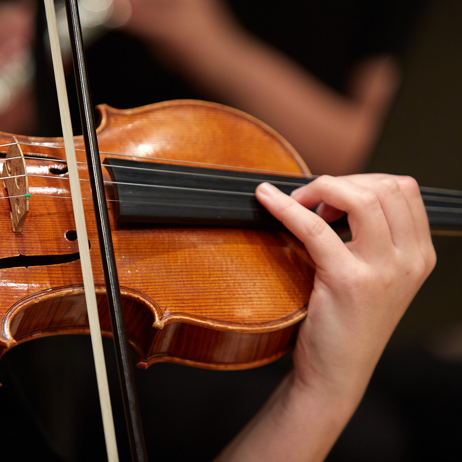 violin