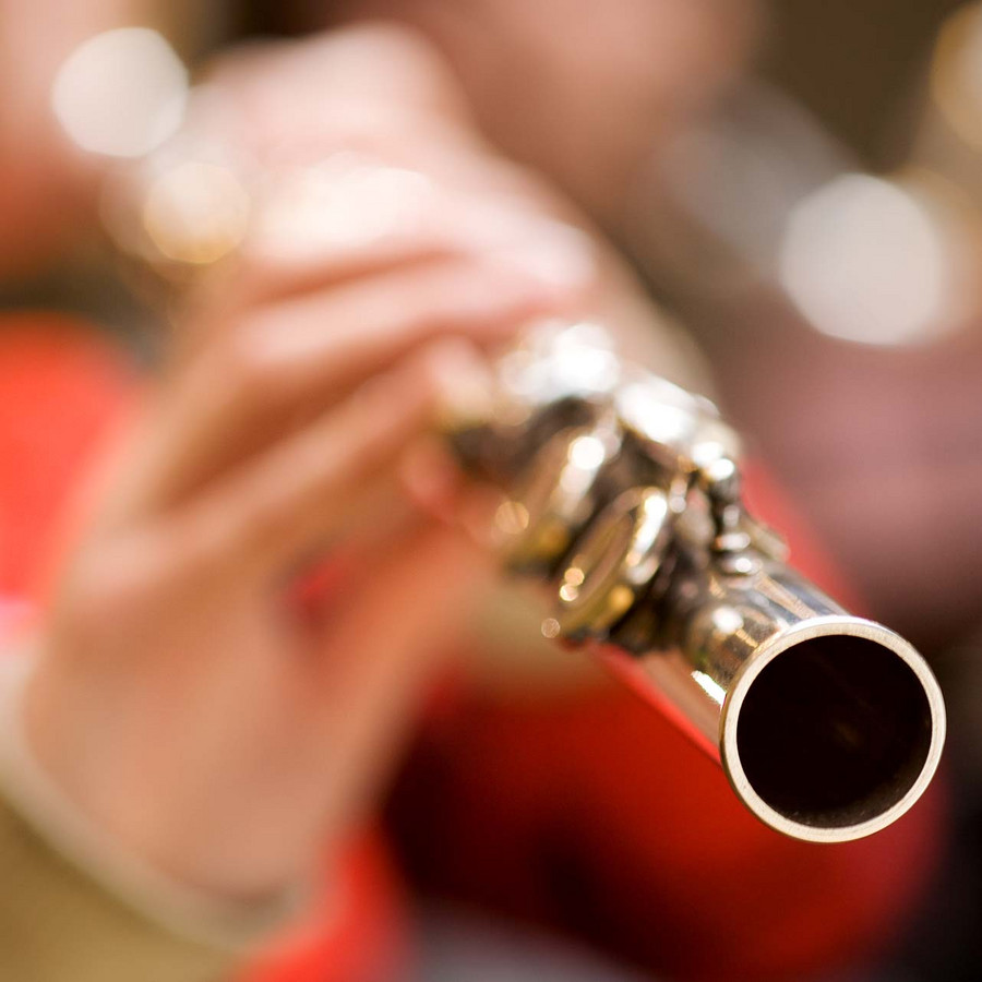 flute