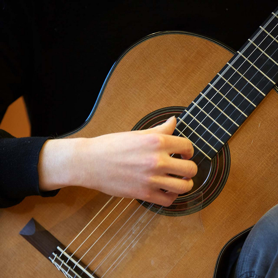 Guitar