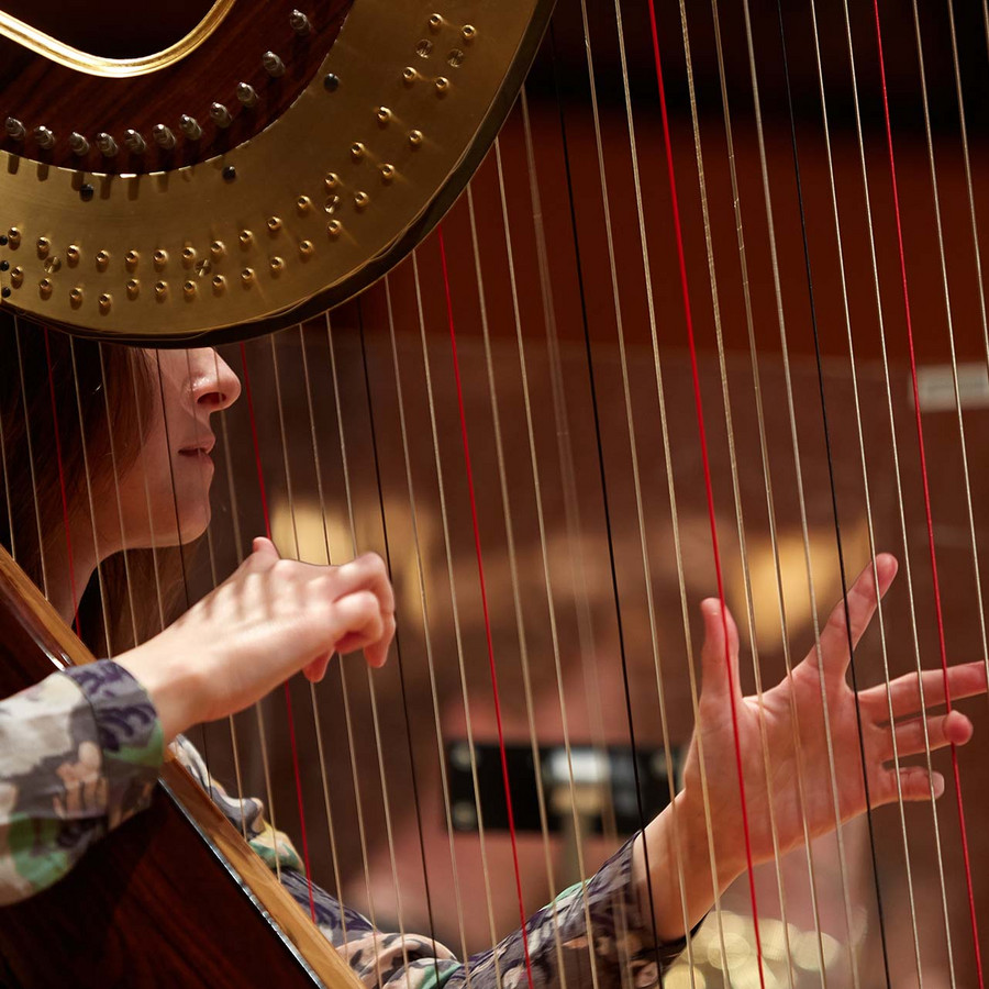 harp