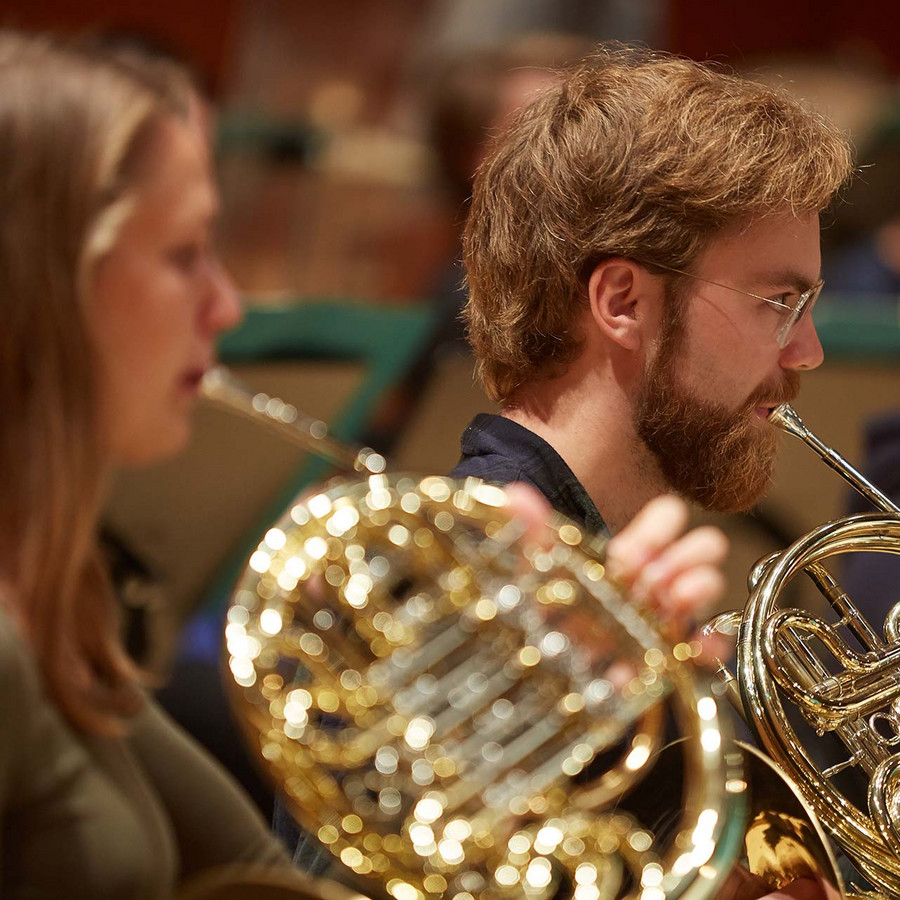 french horn