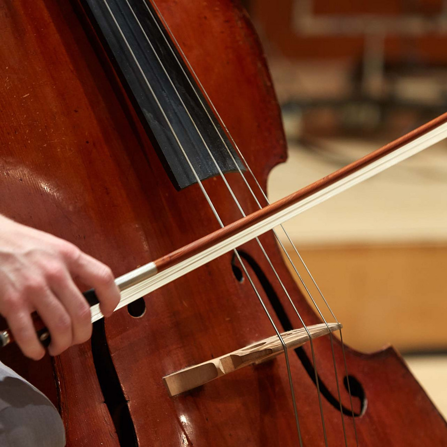 Picture of double bass