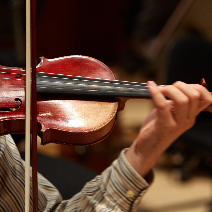 violin