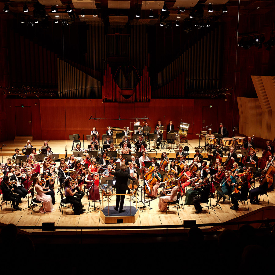 Picture of a symphony orchestra