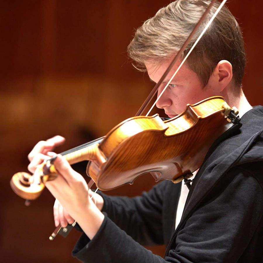violin