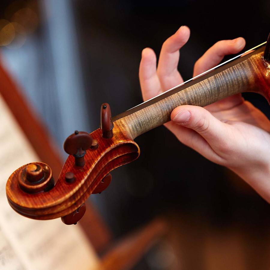 Violin