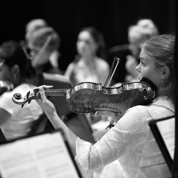 violiner