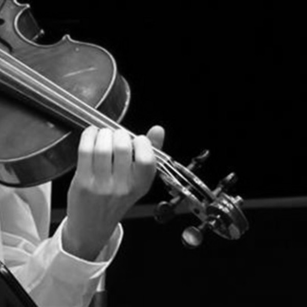 Picture of viola