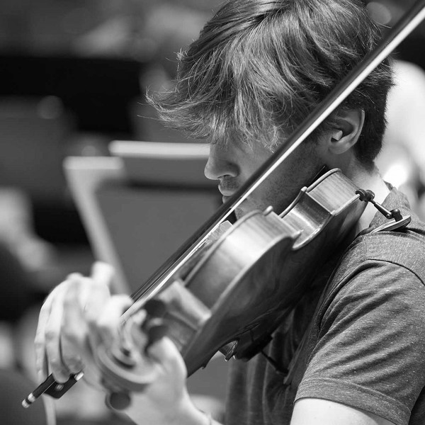 viola