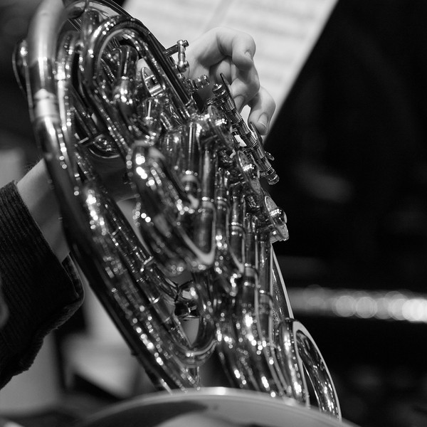 horn