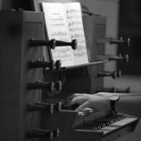 orgel