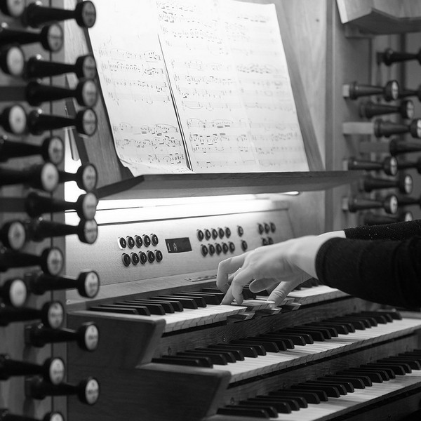 Orgel