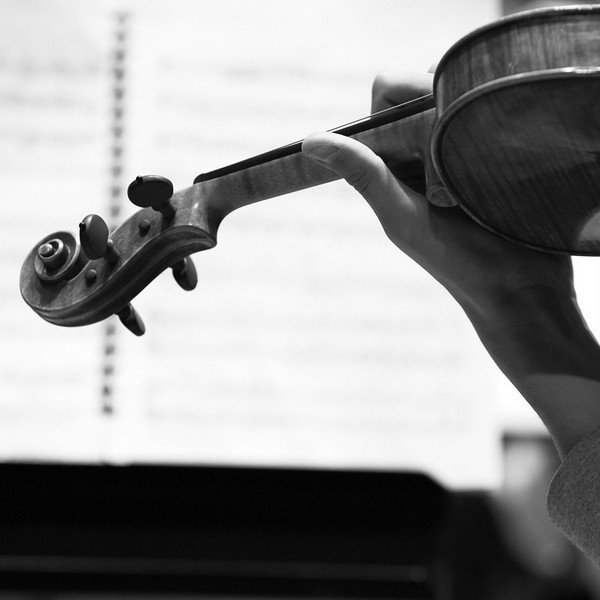 Violin