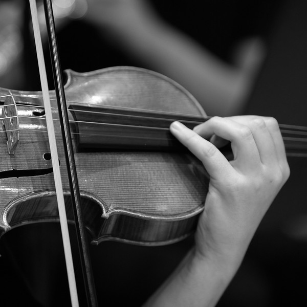 violin