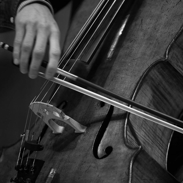 cello