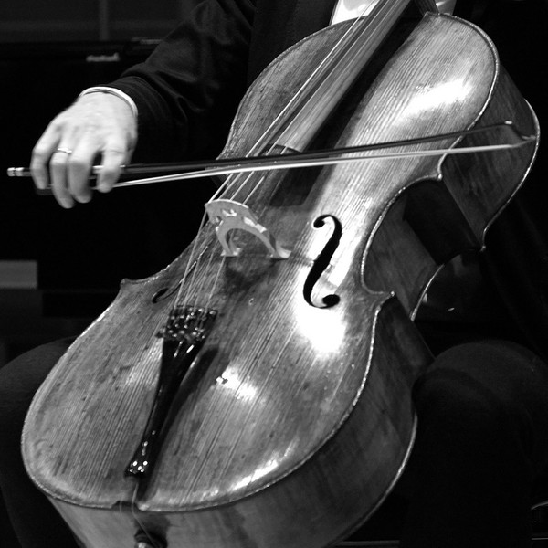 cellist