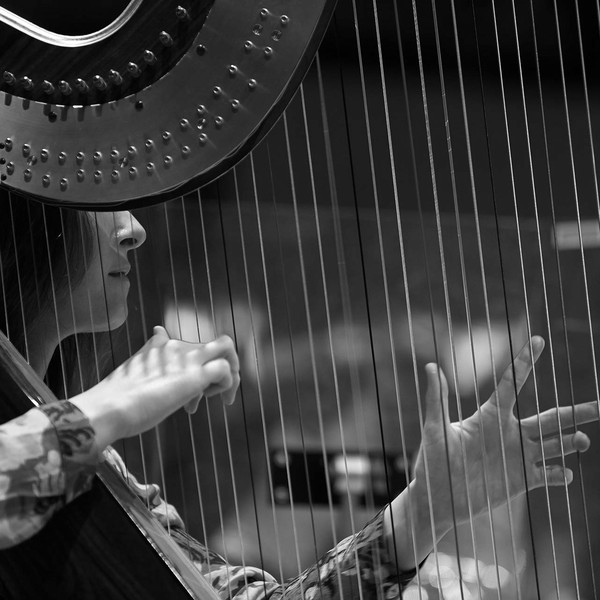 Picture of harp