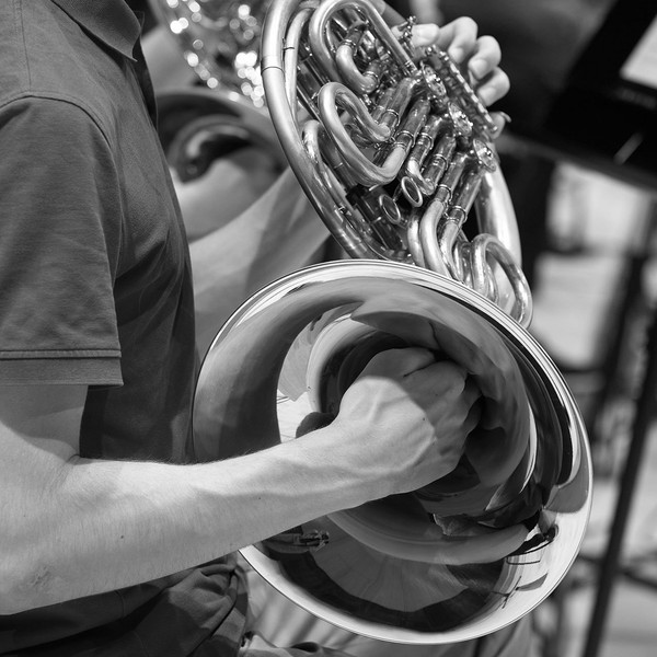 horn