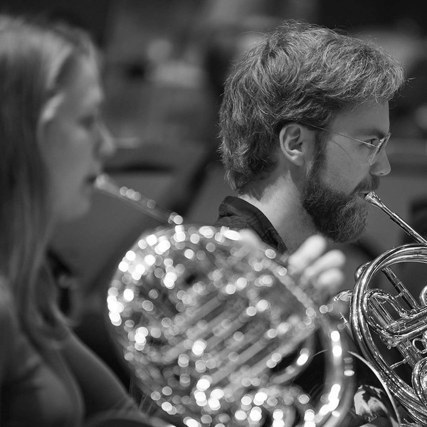 French horn