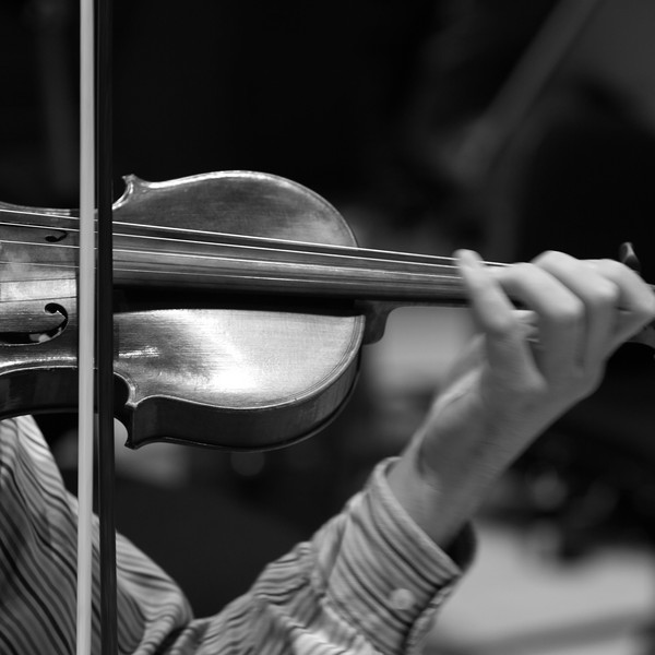 violin