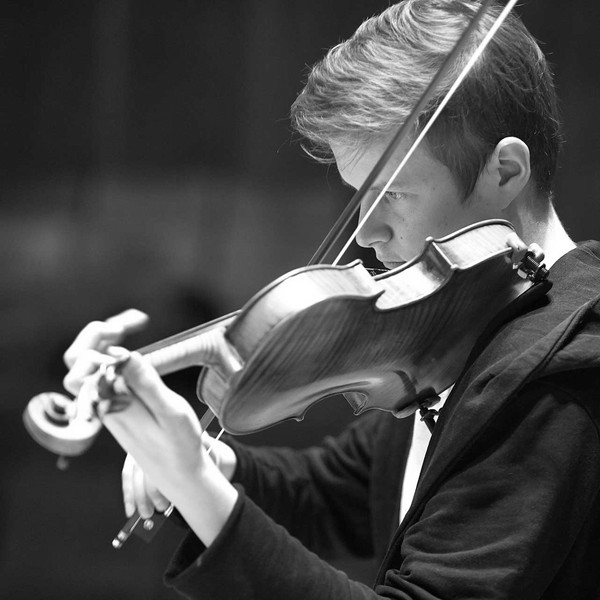 violin