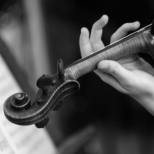 Violin