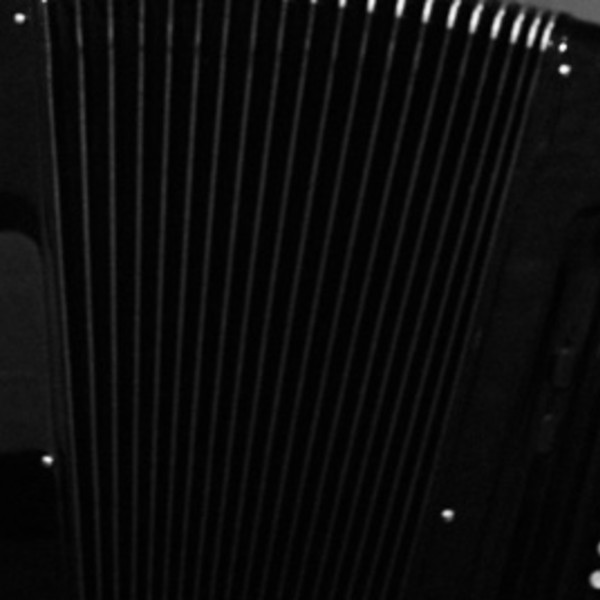 Accordion student