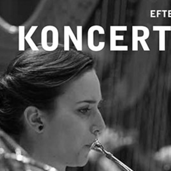 DKDM's koncertbrochure