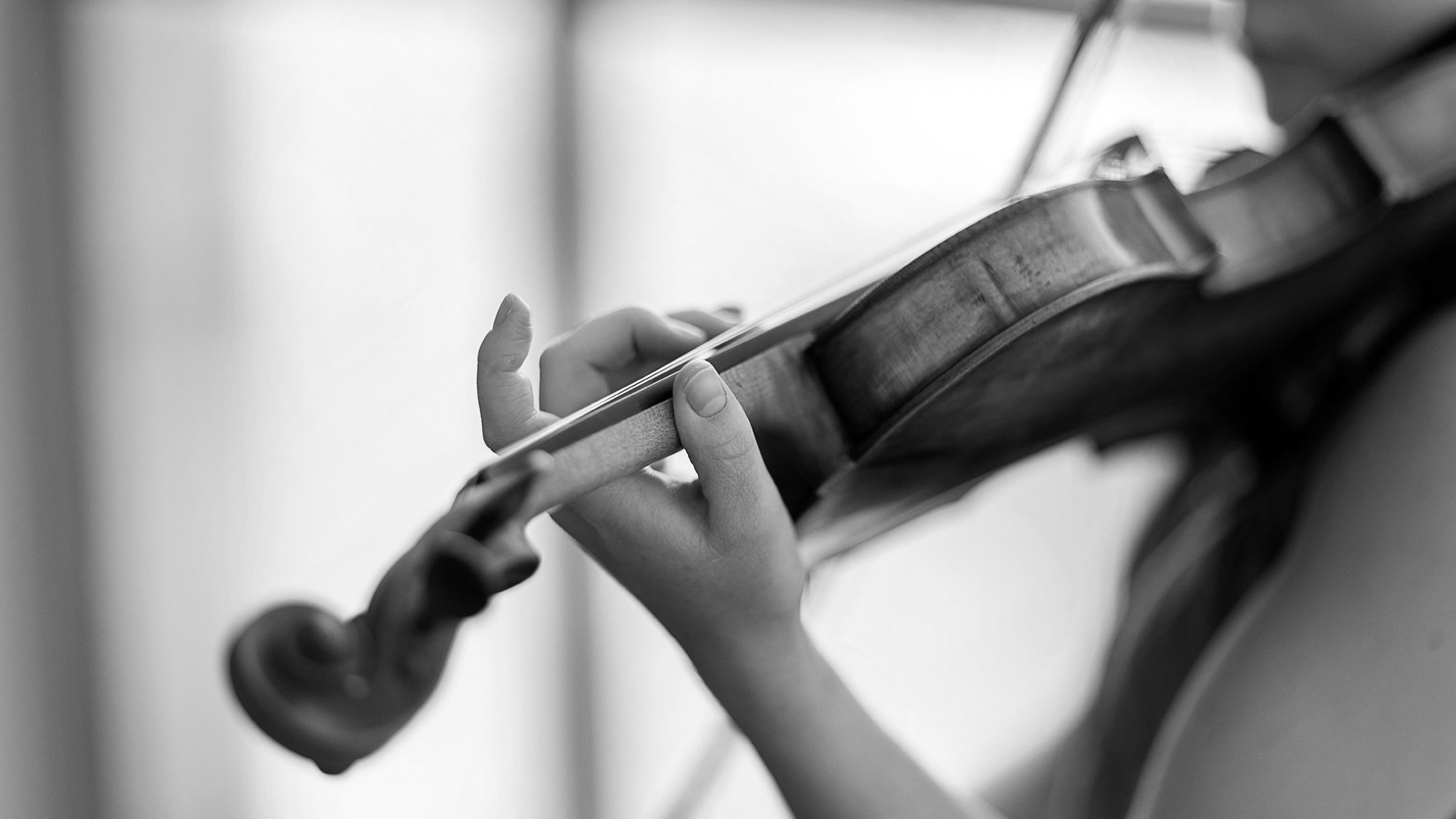 violin