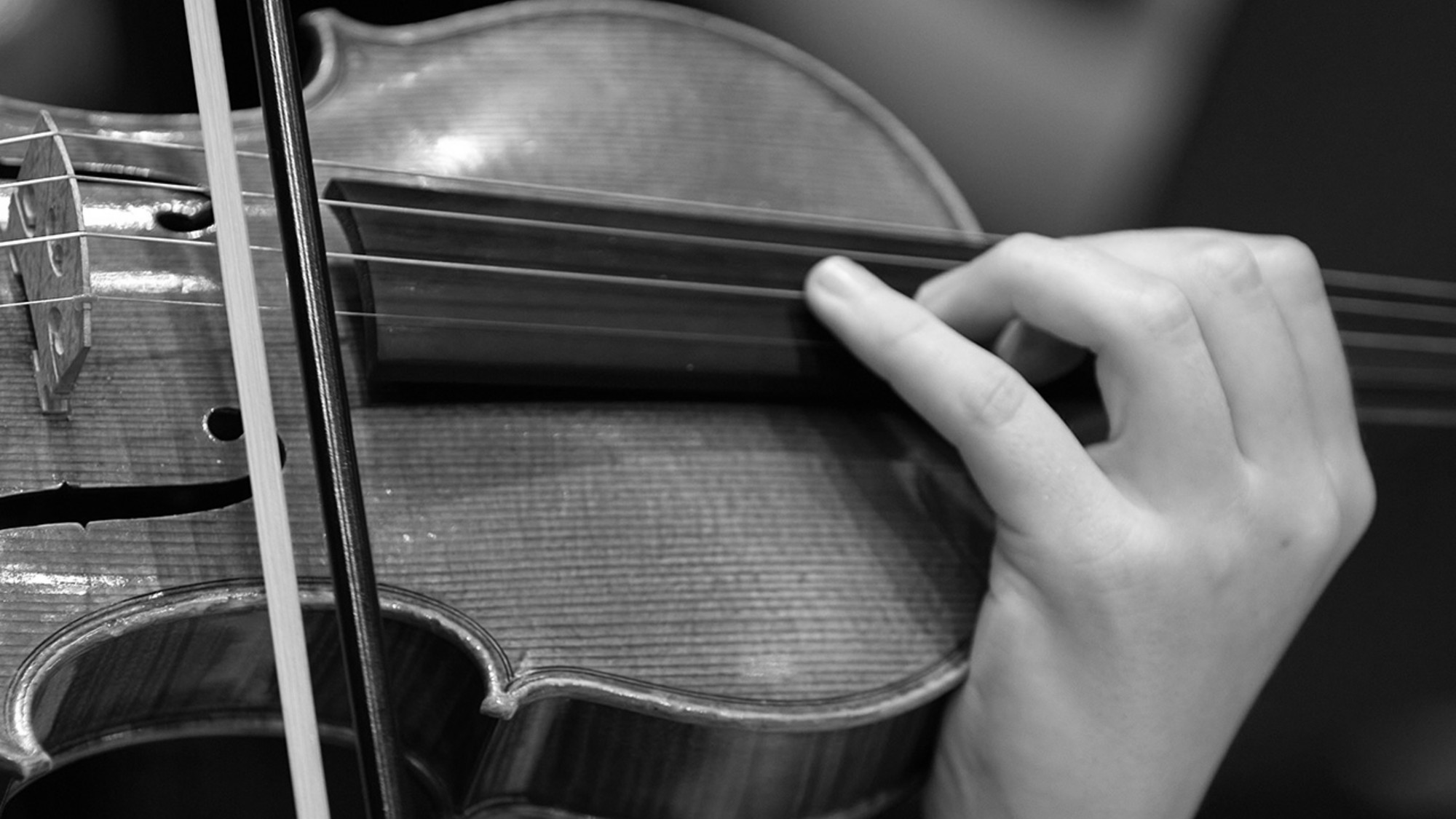 violin
