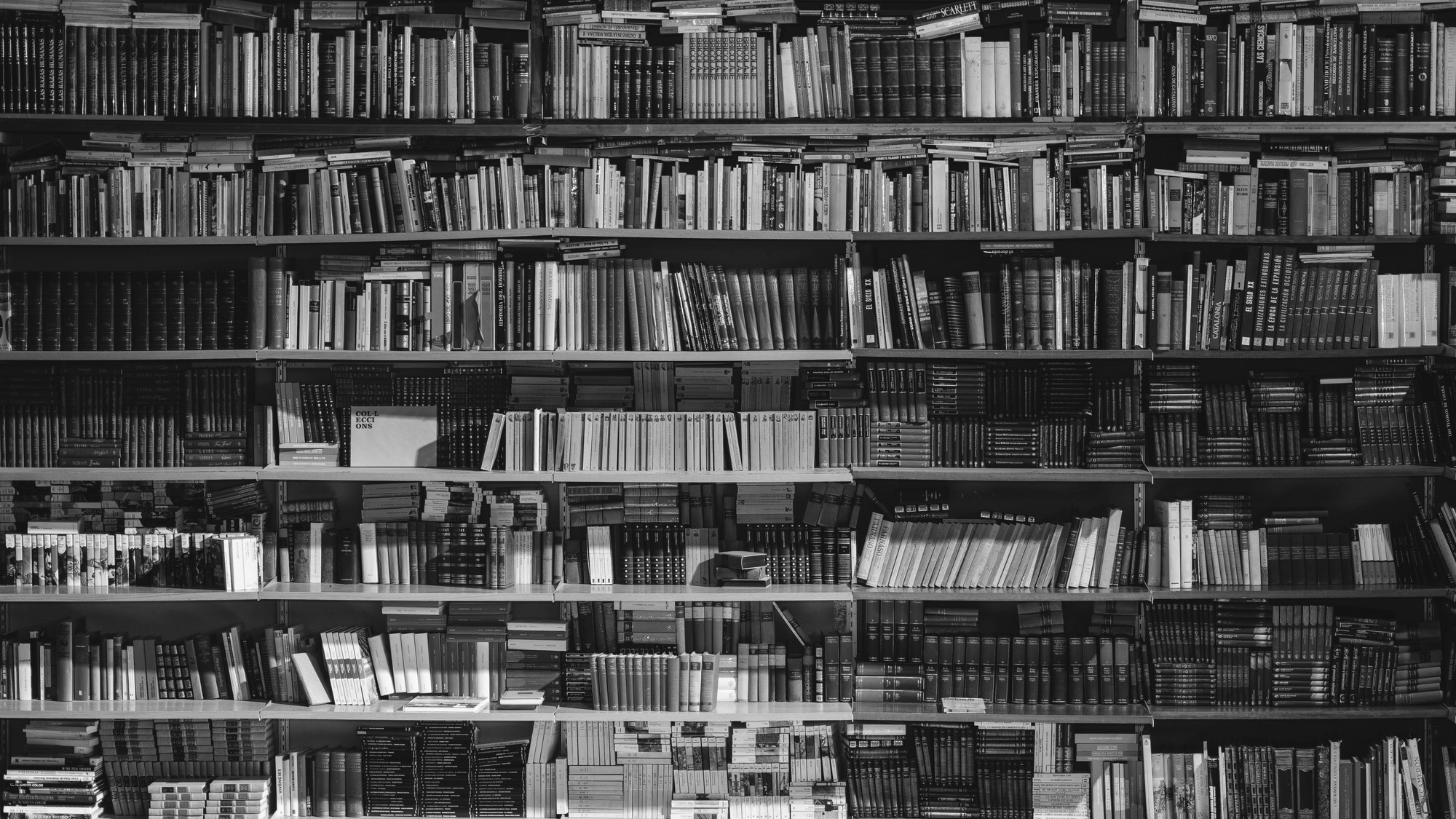 Alfons Morales book shelves